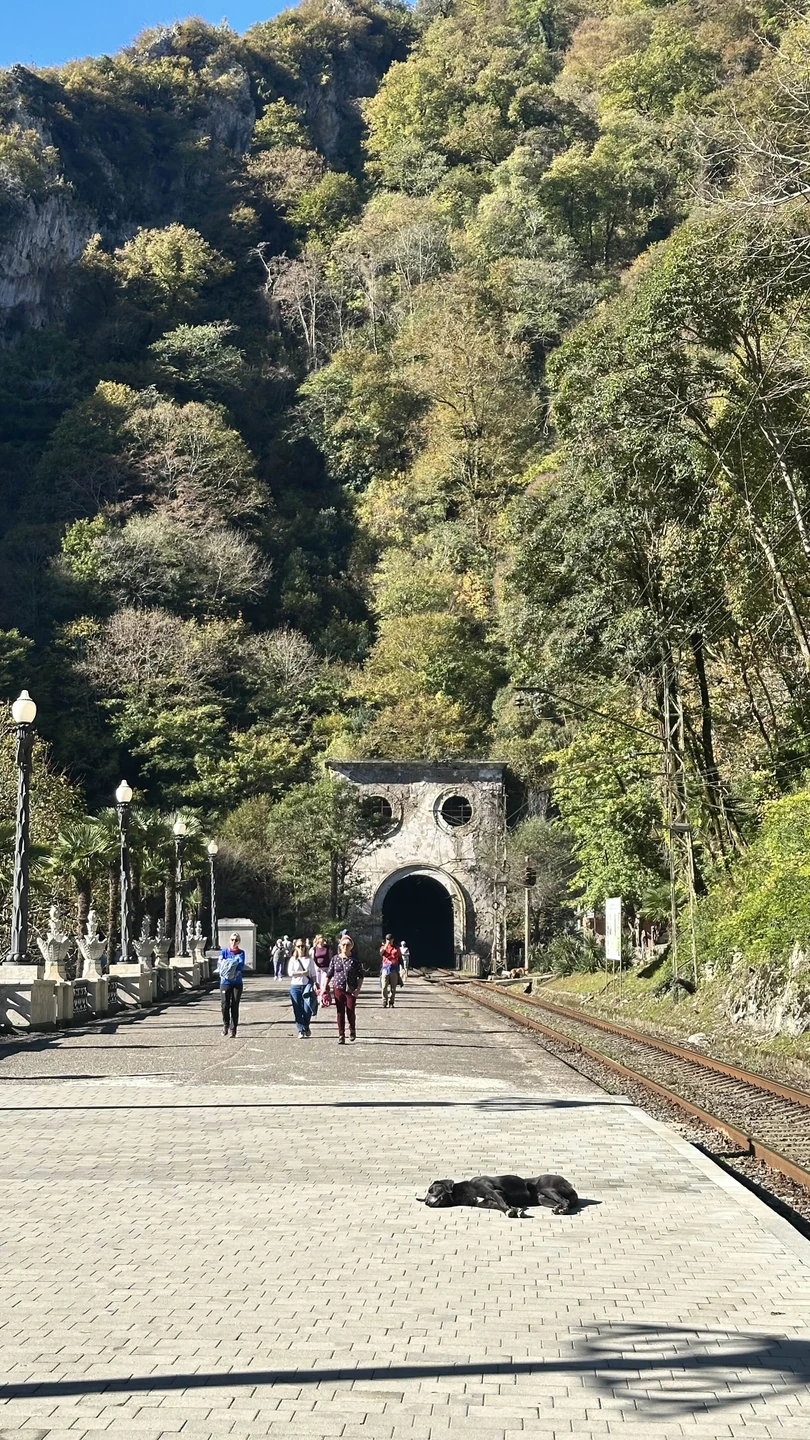 Индивидуальная экскурсия по солнечной Абхазии (Вероника)