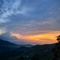 reviews img