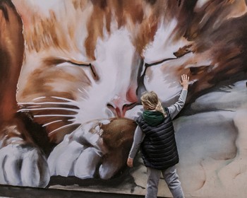 Куршская коса и Зеленоградск