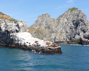Морская прогулка, рыбалка в бухтах Аванчинского залива и дегустация ухи и краба