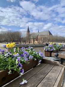 Фото отзыва 2: экскурсия "Лучший день в Калининграде: экскурсия по центру + дегустация сыра (всё включено)"