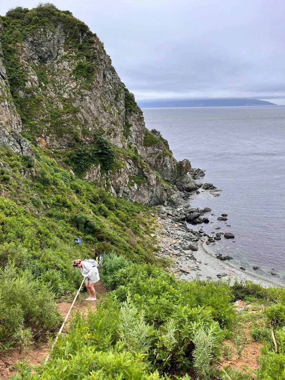 Отлично организованная экскурсия, нам повезло мы увидели и котиков и сивучей. На острове мы увидели все