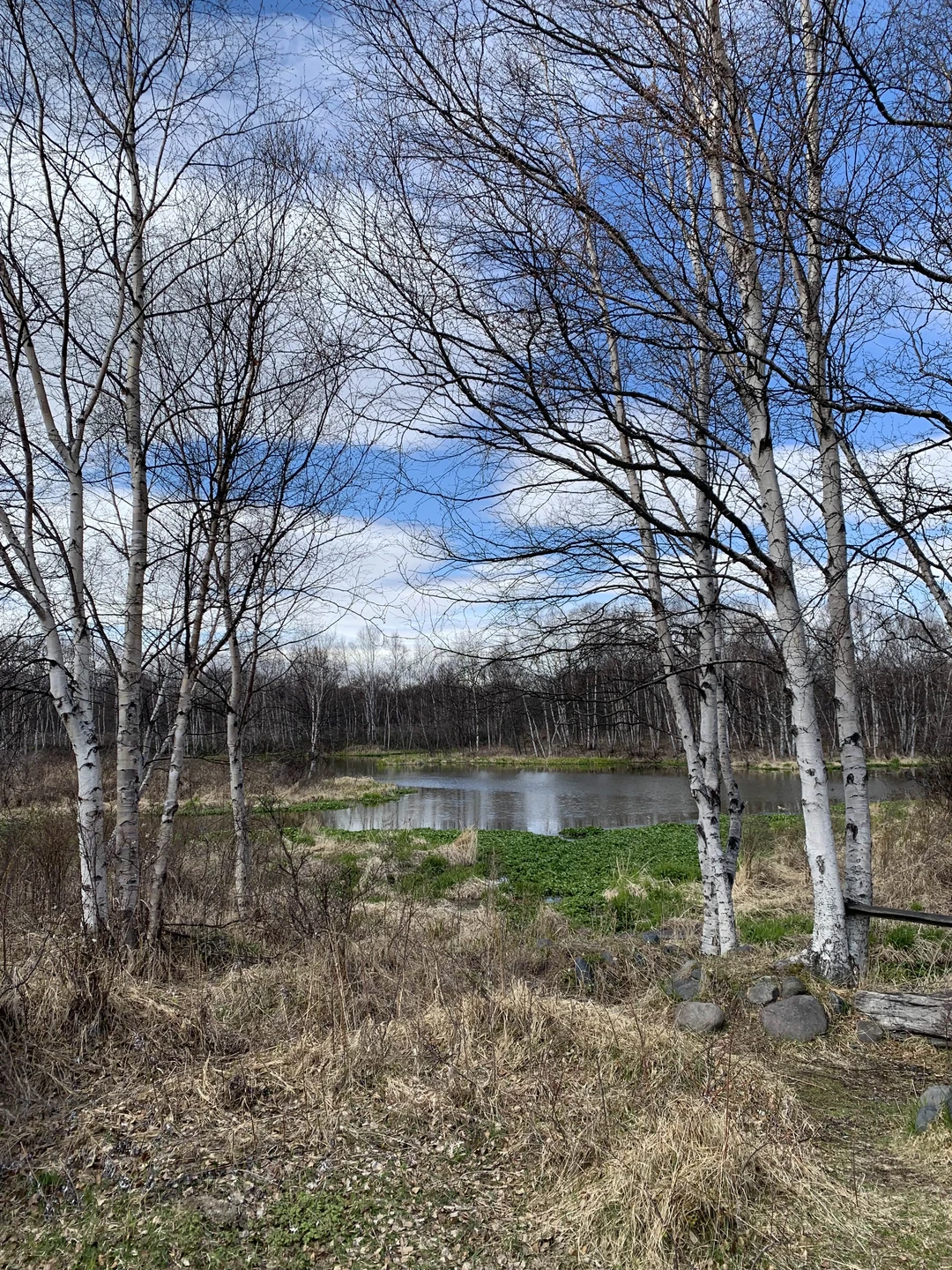 Экскурсия удалась на все 100! Огромное спасибо Александру за интересный рассказ и организацию путешествия. Грамотно составлен