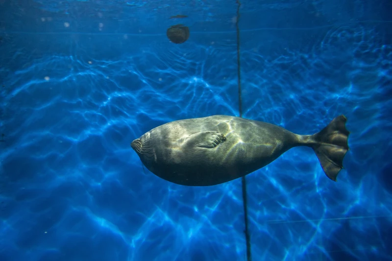 Фото отзыва 3: авторский тур "Индивидуальный тур «всё включено» на зимний Байкал: Ольхон, Листвянка и Тункинская долина"