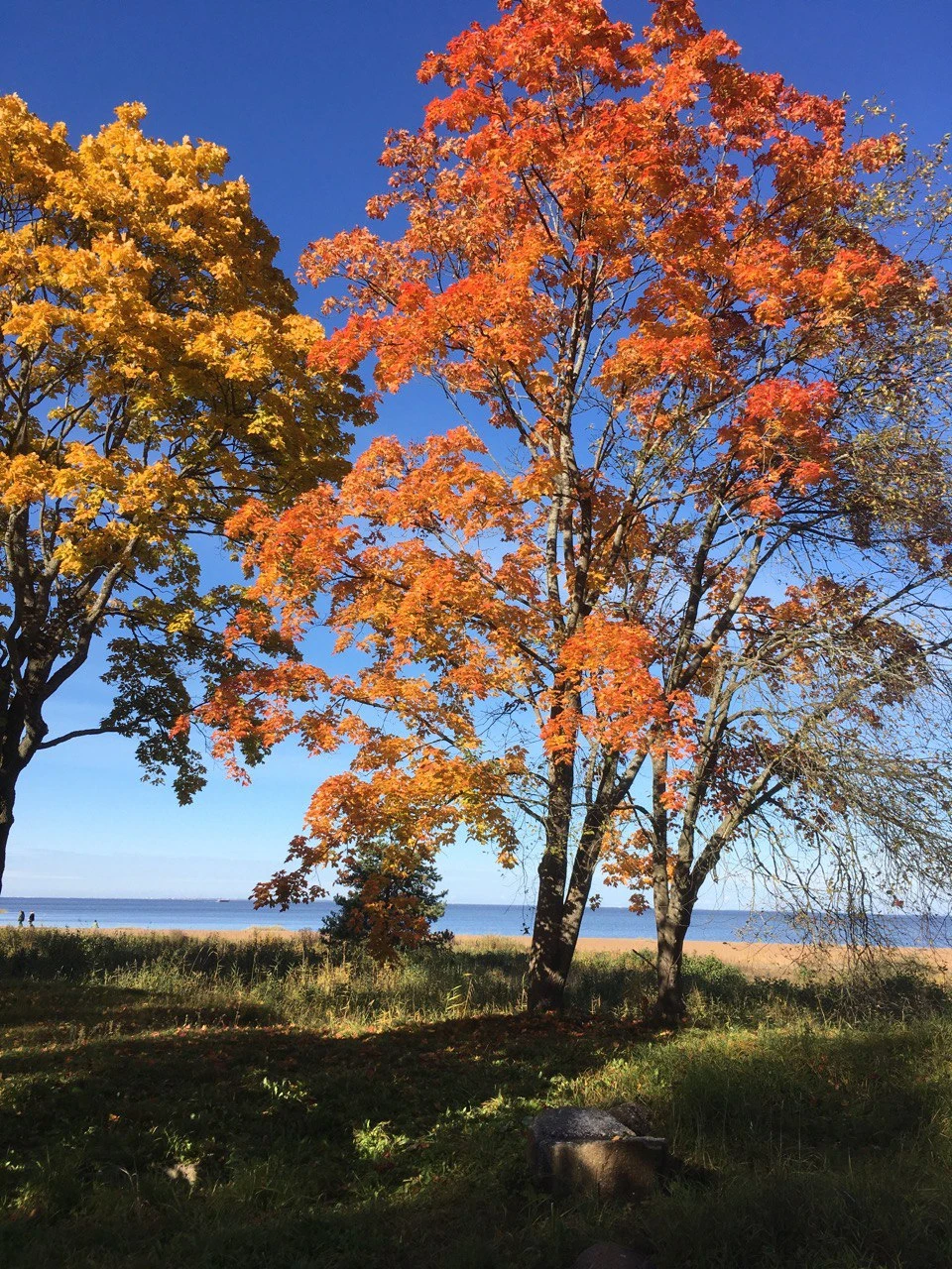 Юлия открыла для нас парк Александрию и историю жителей этого места - Николая 1 и его