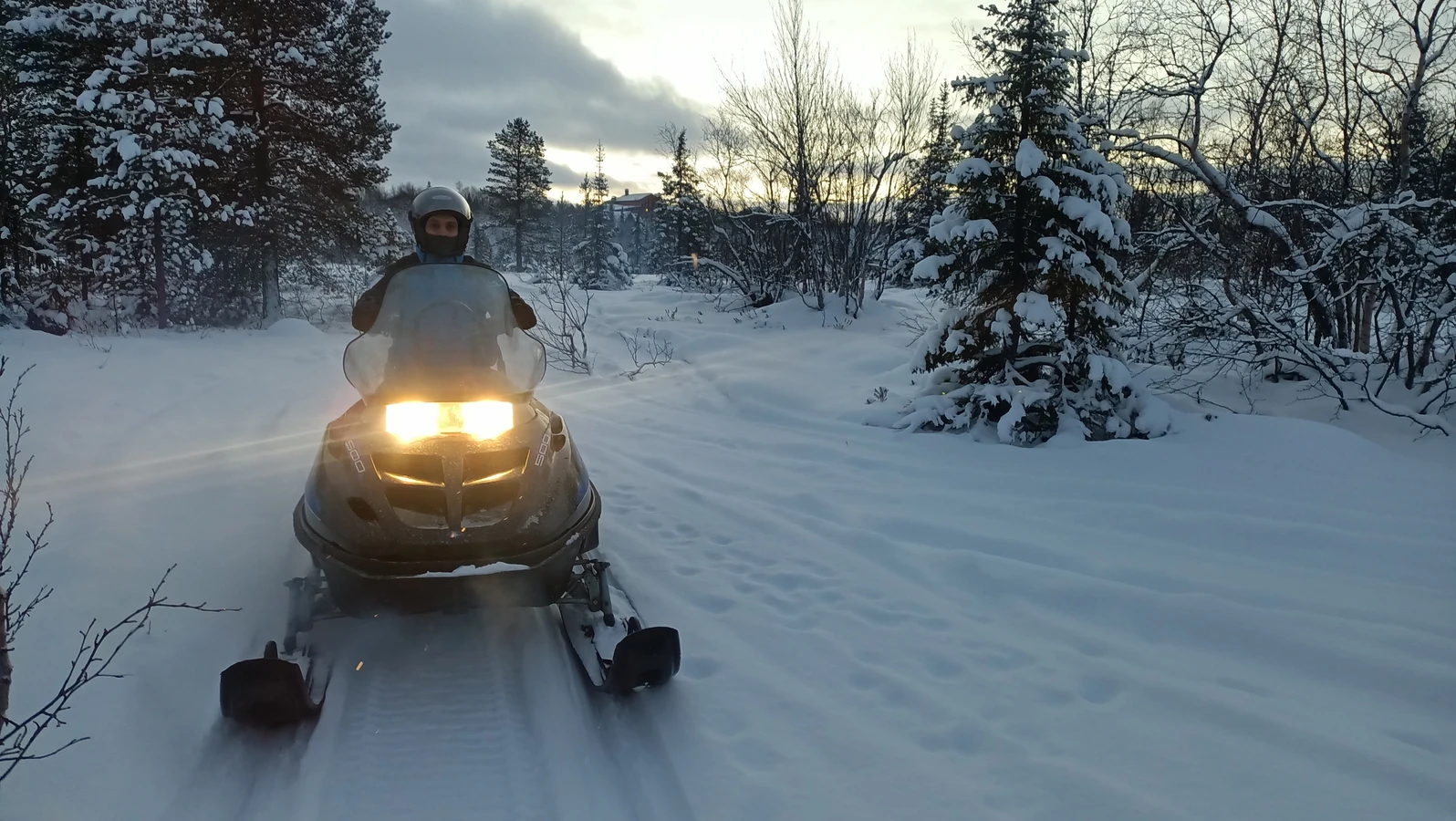 Снегоходные прогулки в лесу под Мурманском