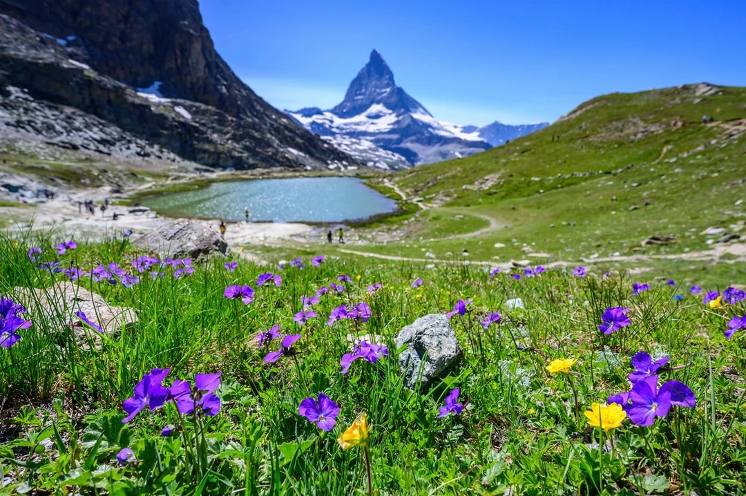 Альпийский луг и&nbsp;озеро у&nbsp;горы Маттерхорн, Швейцария