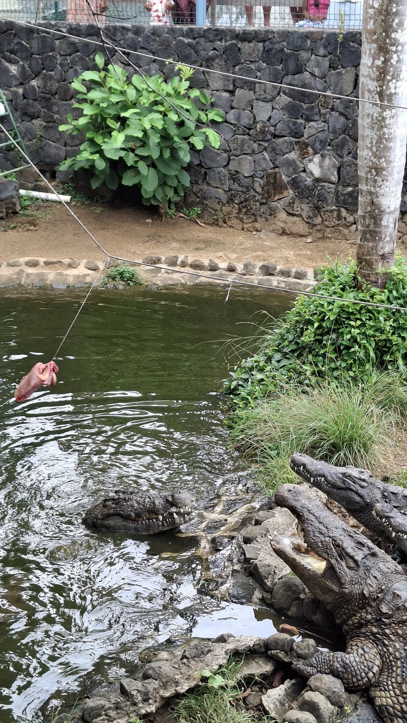 Благодарю Анну за ее профессионализм и творческий подход к экскурсии. Увидеть Мавкрикий её глазами просто невероятно!