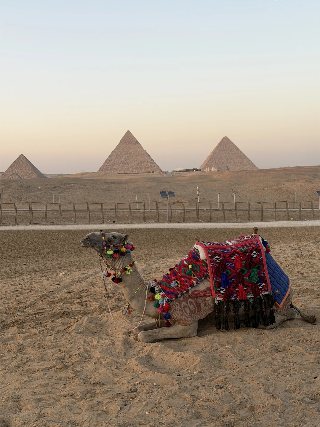 Спасибо огромное Мухаммеду и его команде за организацию экскурсии! Получили массу положительных эмоций и дельных советов!