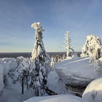 Фото отзыва 1: экскурсия "Каменный город и Усьвинские Столбы"