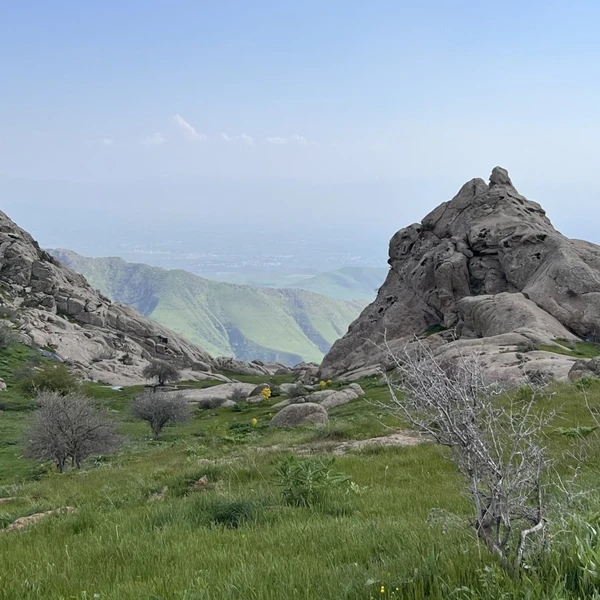 Дорога сквозь историю: однодневная поездка из Бухары в Самарканд
