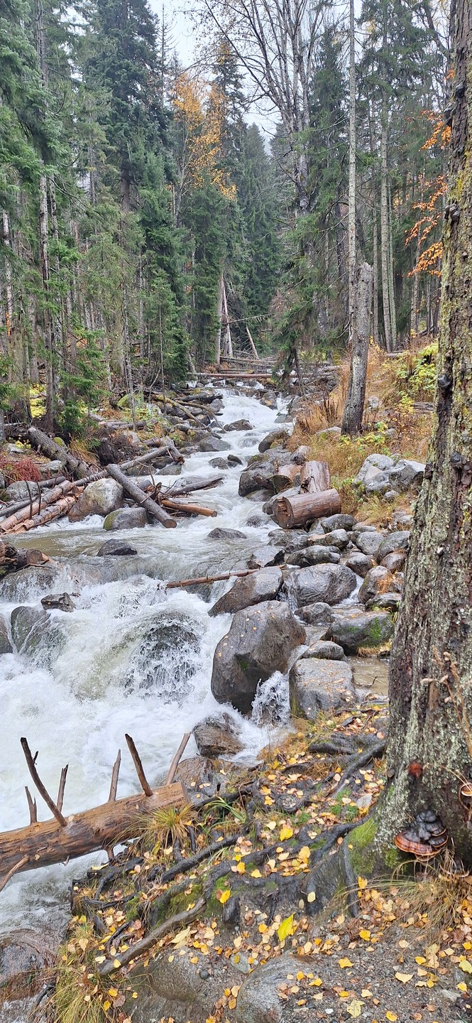 Гид Юрий - хороший.