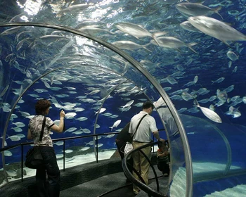 Шанхайский океанариум, переезд в Сучжоу