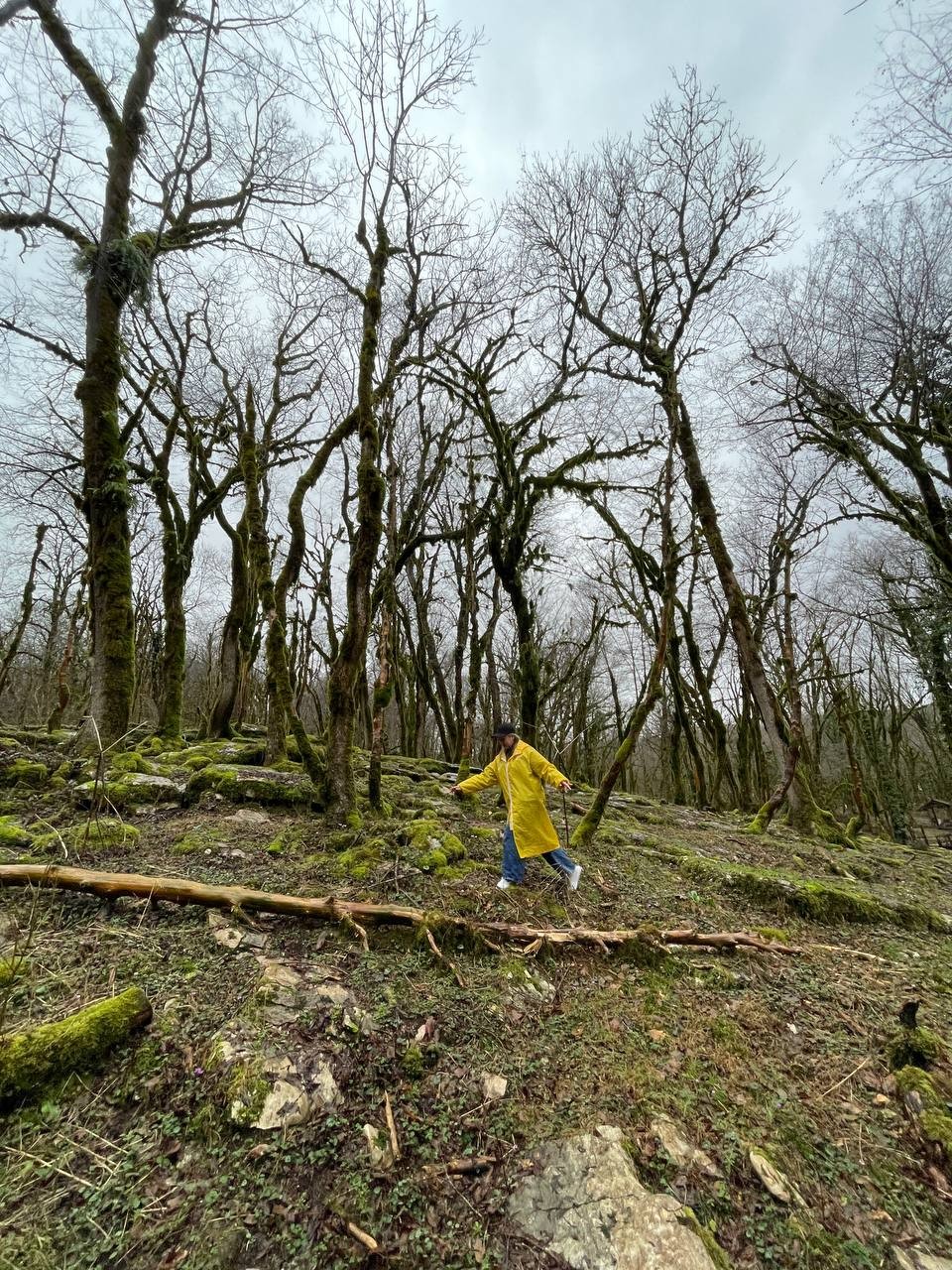 Поездка была великолепной! Наш экскурсовод — Роман — отличный рассказчик: живо, с юмором и интересными фактами