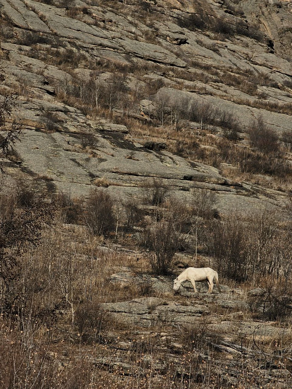 Отличная экскурсия! Бронируйте, не пожалеете. И Артур, и водитель Николай - интересные собеседники. Отвечали на любые