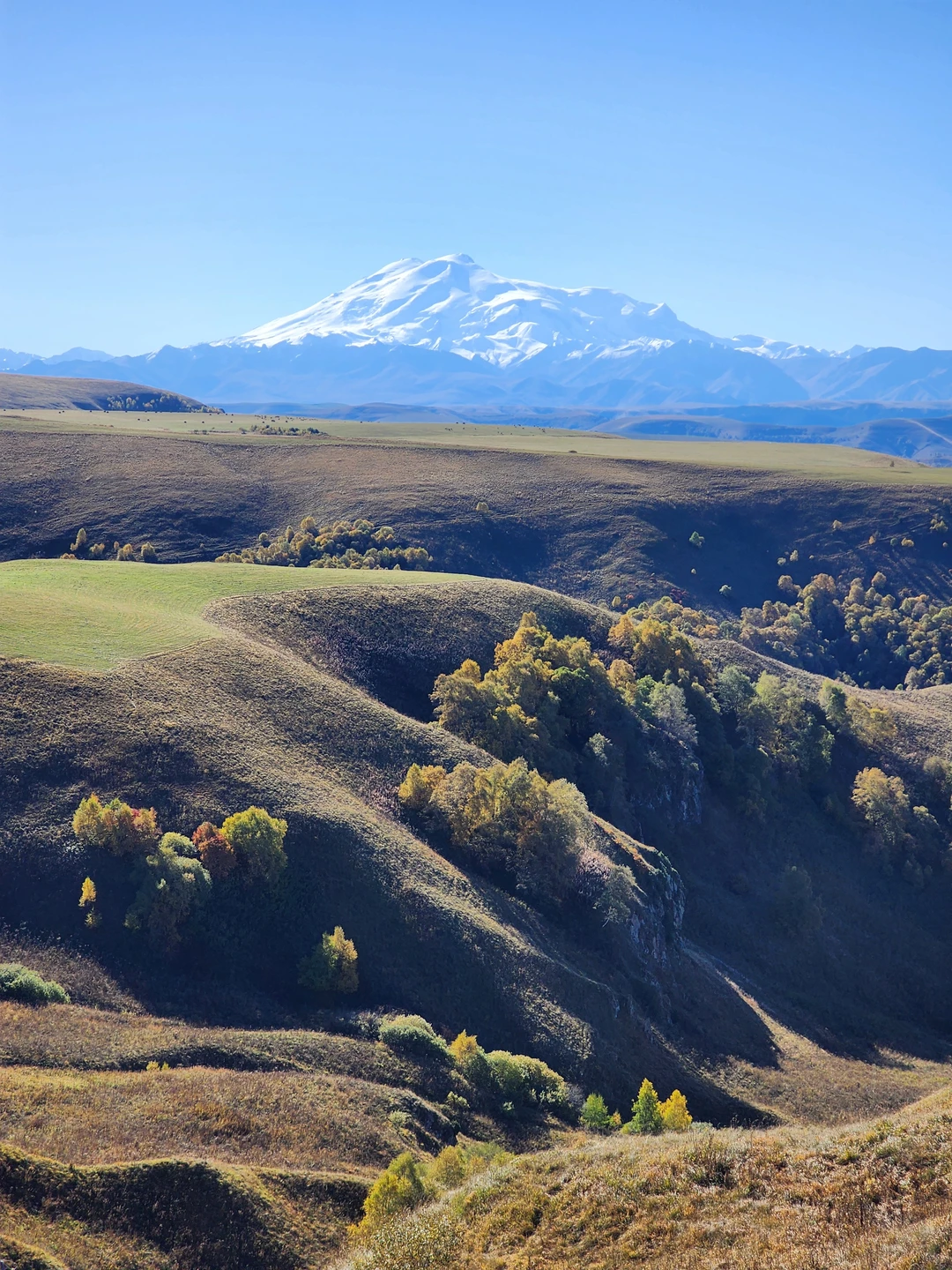 Были на индивидуальной экскурсии в Домбай вчера, 6 октября с гидом Андреем. Нас было четверо- двое
