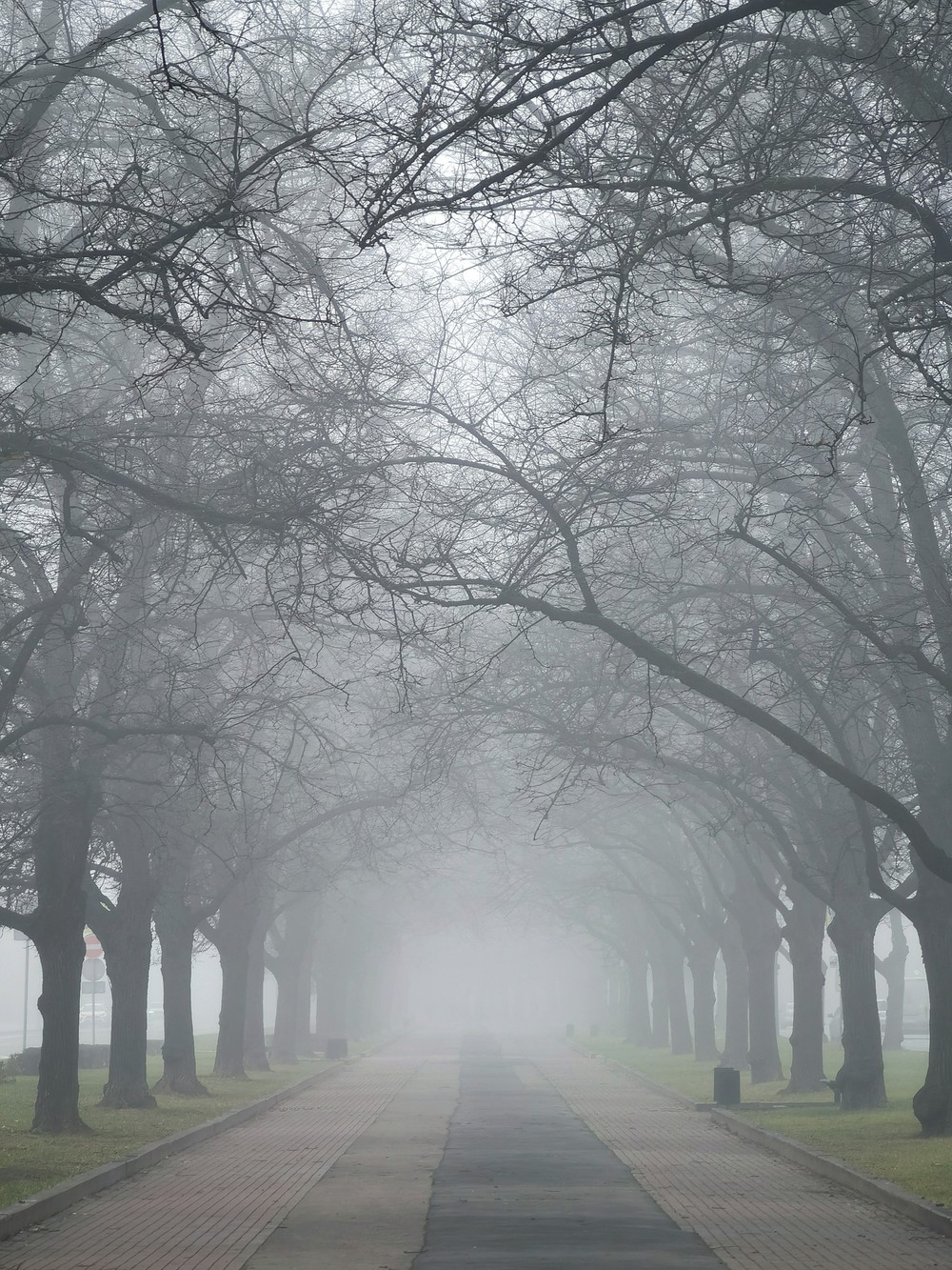 Женщины Тверского бульвара (6/6)