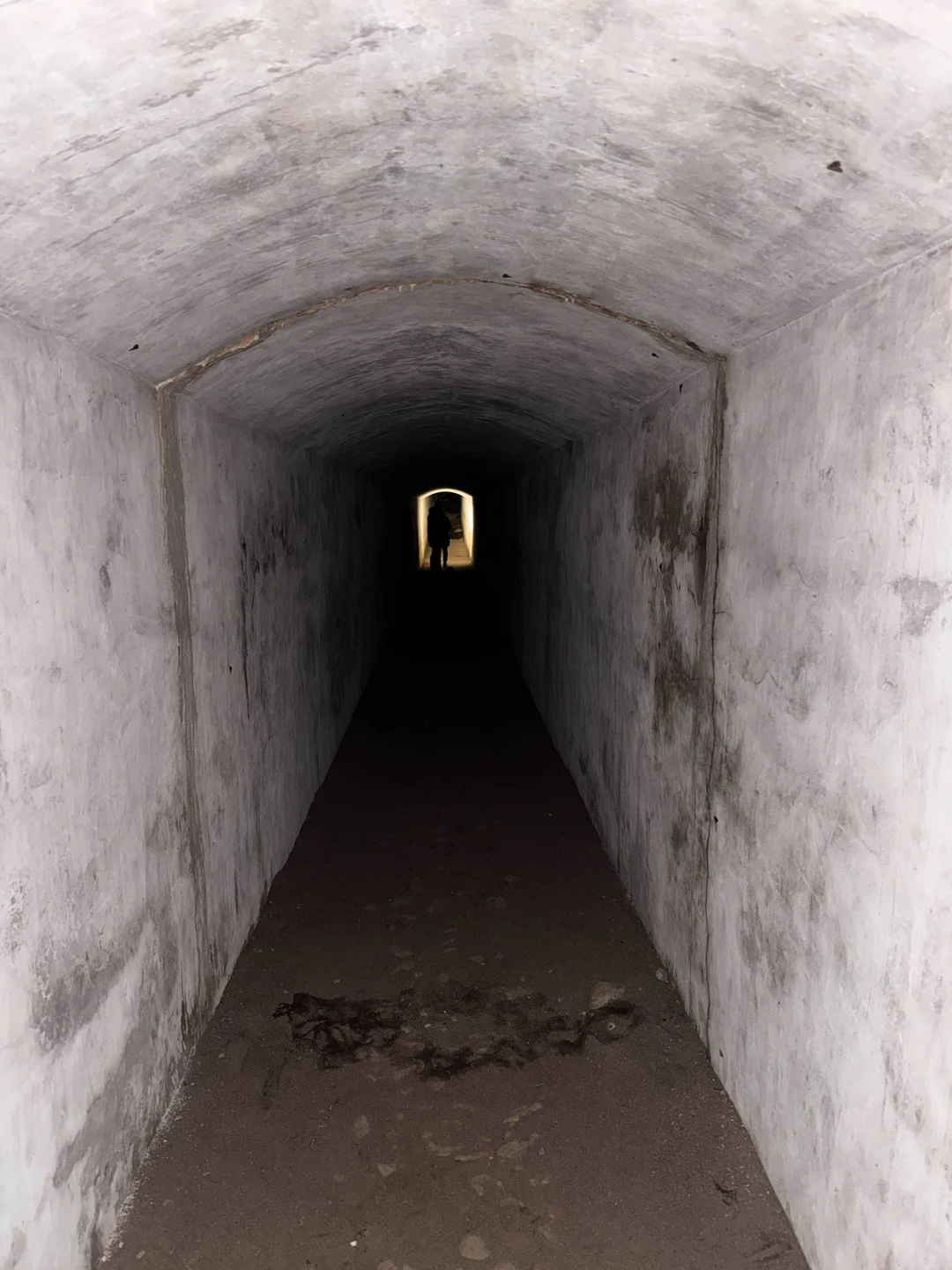 По тропам линии Маннергейма: подземные бункеры в карельских лесах (Agata)