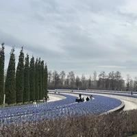 Фото отзыва 3: экскурсия "По парку Галицкого — в мини-группе"