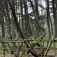 Фото путешественника — 4