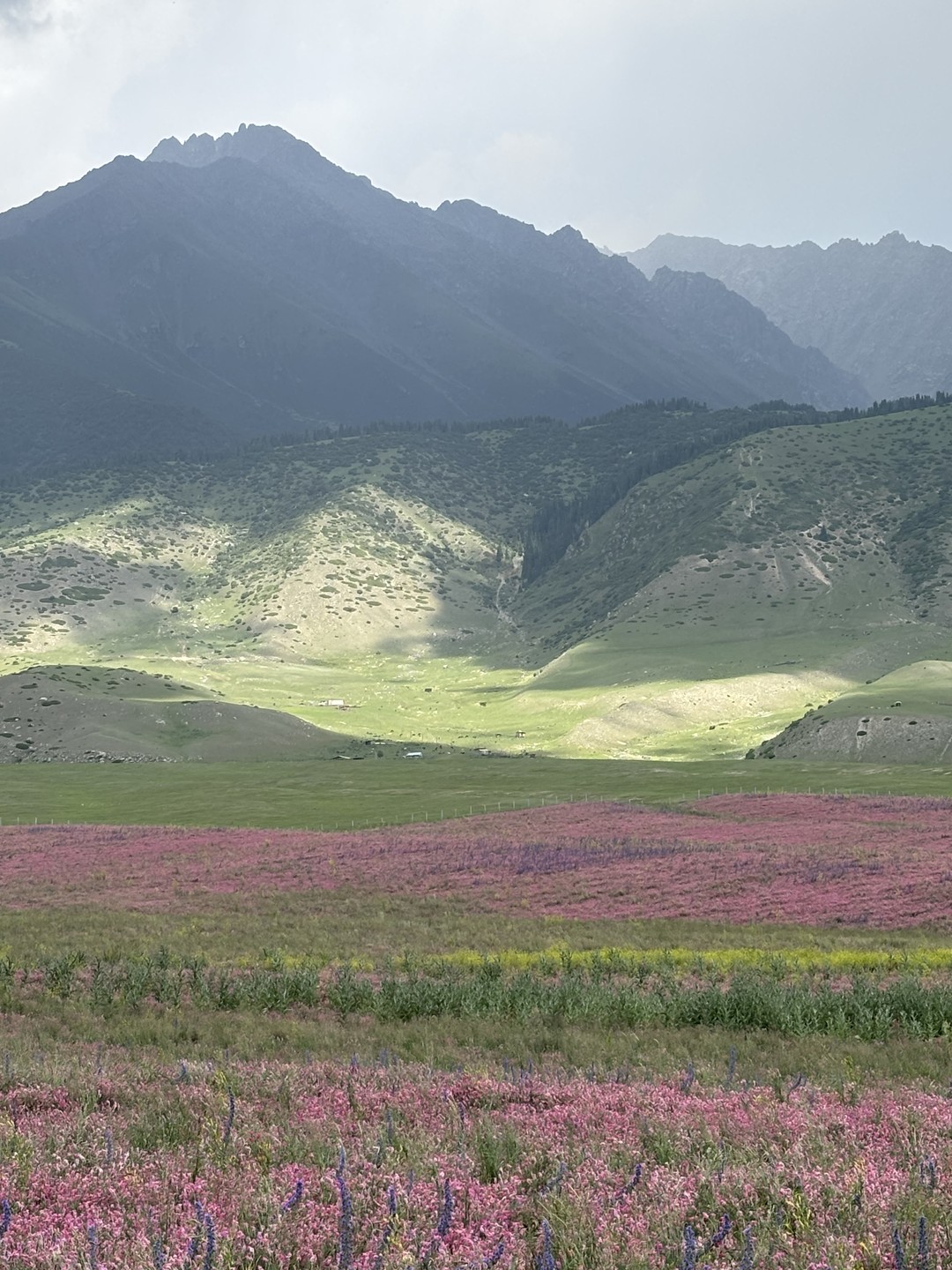 Великолепная во всех отношениях экскурсия, отличная погода, замечательные места и классный гид! Все получилось на 5 с плюсом!!!