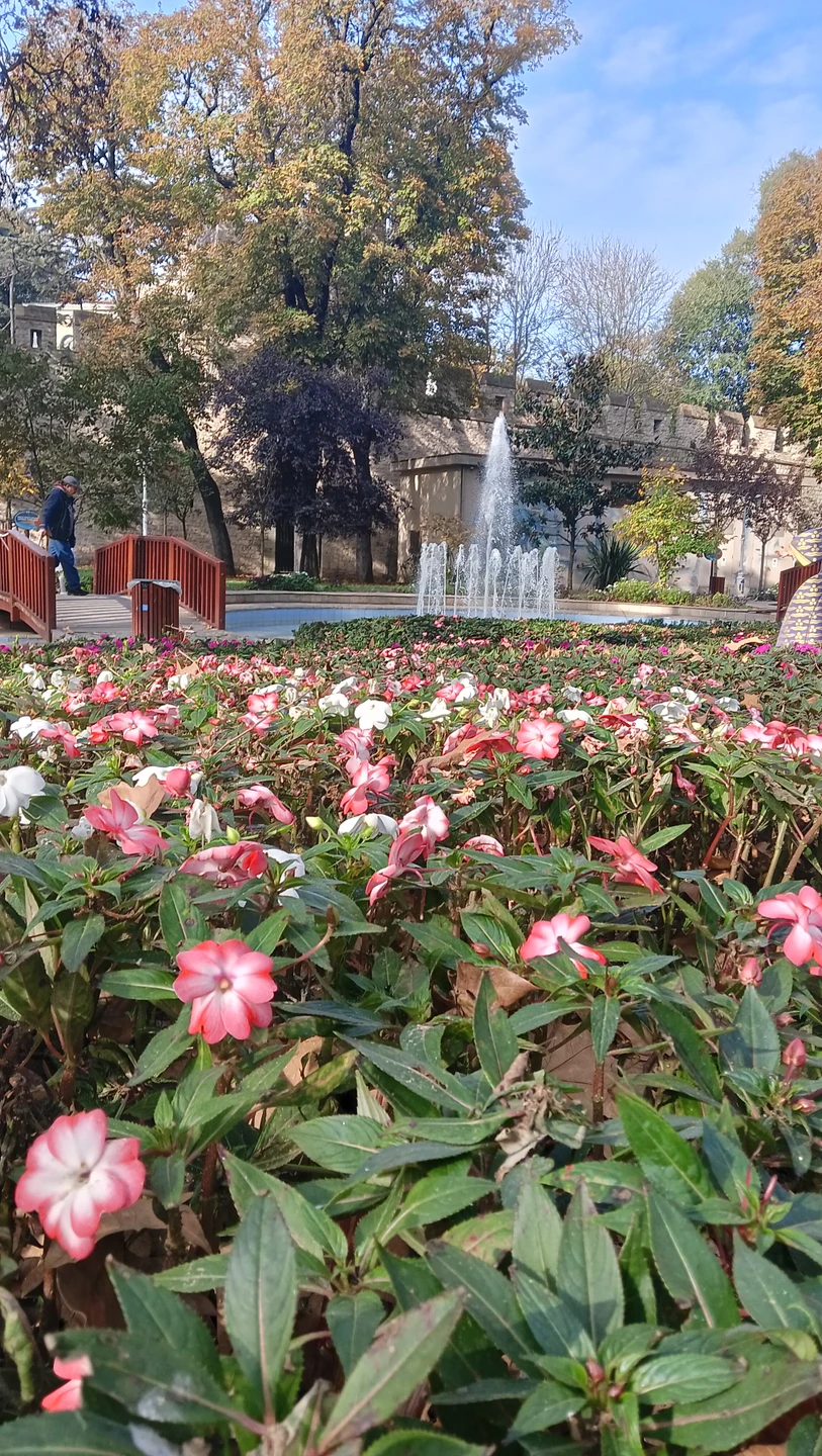 Это замечательнейшая экскурсия. Если вы только приехали в Стамбул, знакомство начинайте именно с этой экскурсии. После