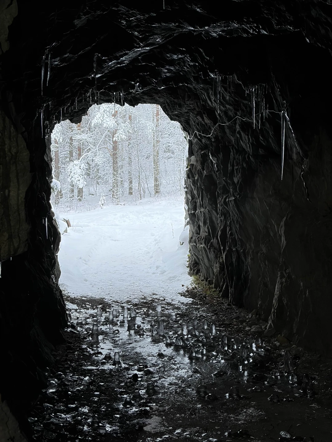Отличная экскурсия, фортификационные сооружения очень понравились - верх инженерной мысли. Гид много рассказывает, интересно и про