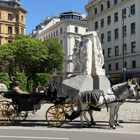 Фото отзыва 1: экскурсия "Венский вальс улиц и площадей"