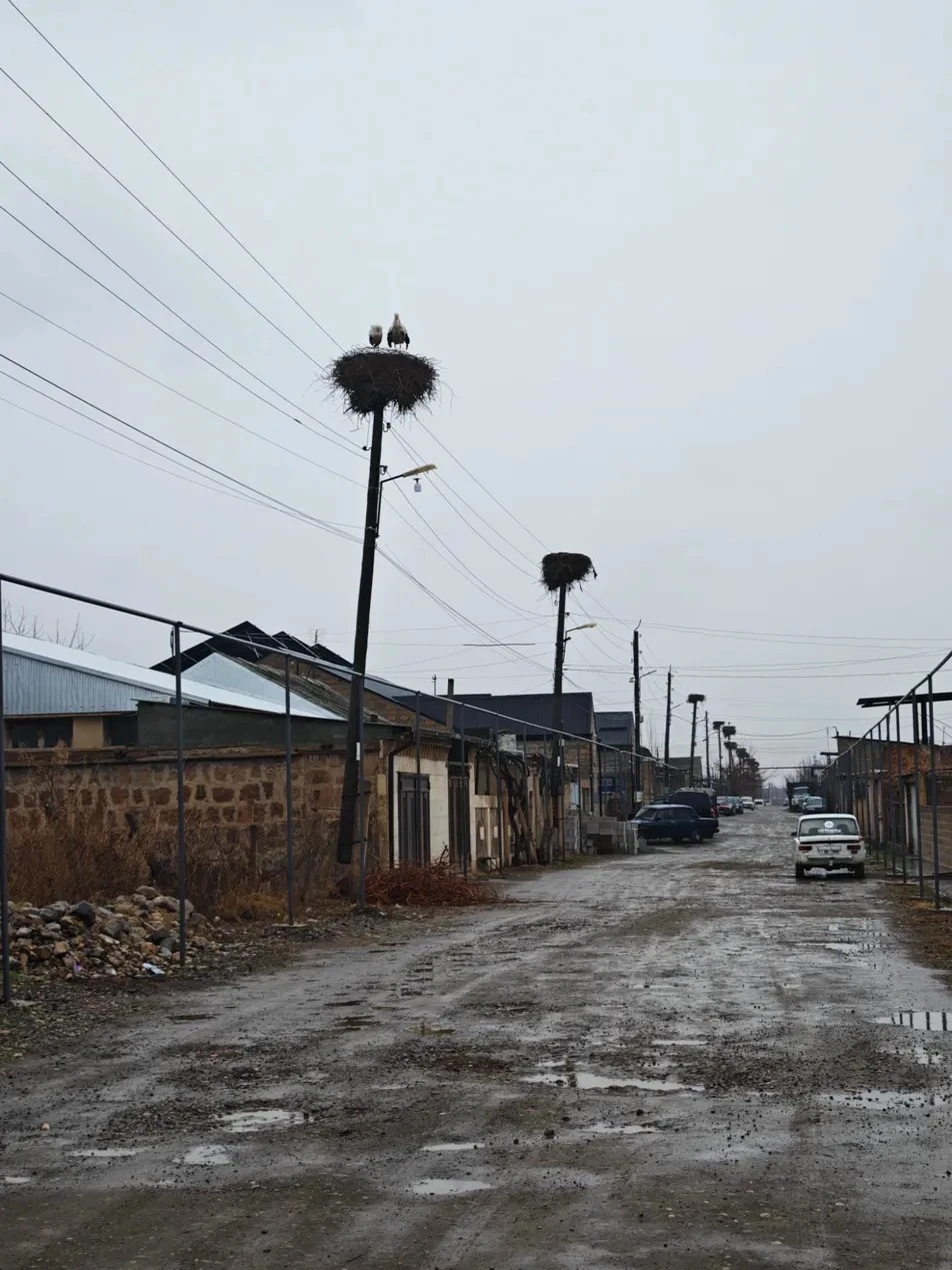 7 марта, горы, снег и тысячелетние монастыри. Кажется, день удался. ✨