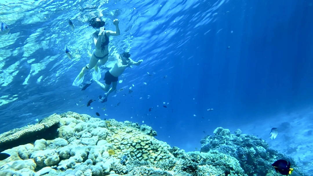 Это просто потрясающая экскурсия! Словами невозможно описать весь кайф который мы почувствовали!!! Мы не просто увидели