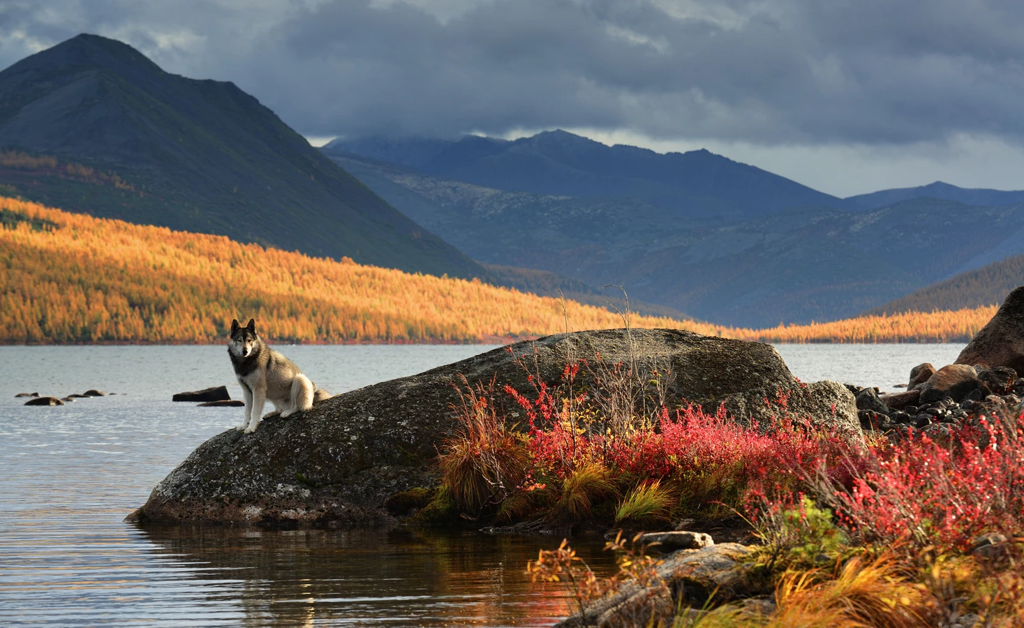 Колымские приключения. Всё включено