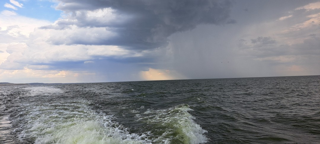 Отличная экскурсия с ответственным и вовлеченным в тему гидом Романом, всем рекомендуем!