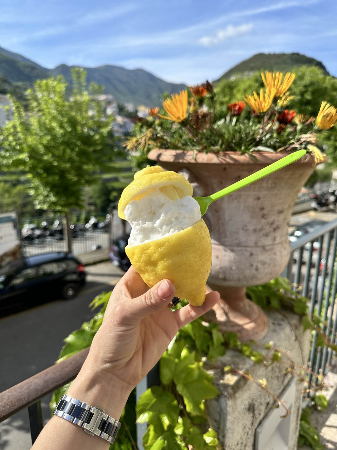 Благодарим Алину и Григория за увлекательный и душевный день, проведенный на Амальфитанском побережье, наша компания осталась