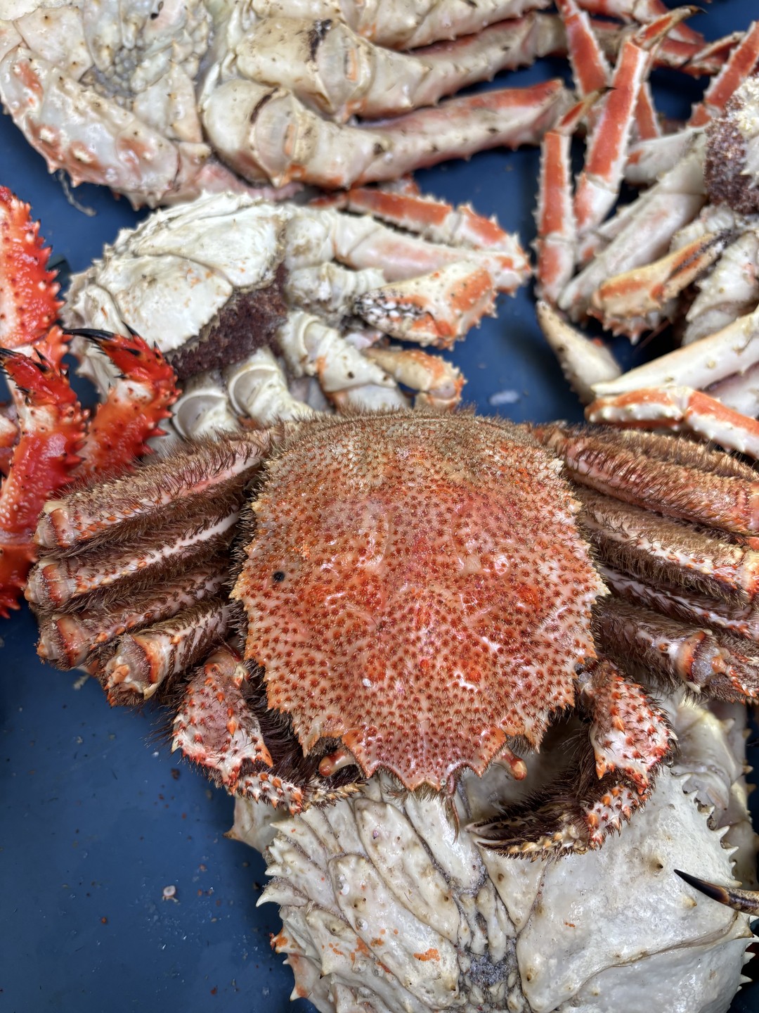 Экскурсия очень понравилась! Наш гид Дмитрий рассказал нам историю острова Сахалин, а заодно немного о Курильских