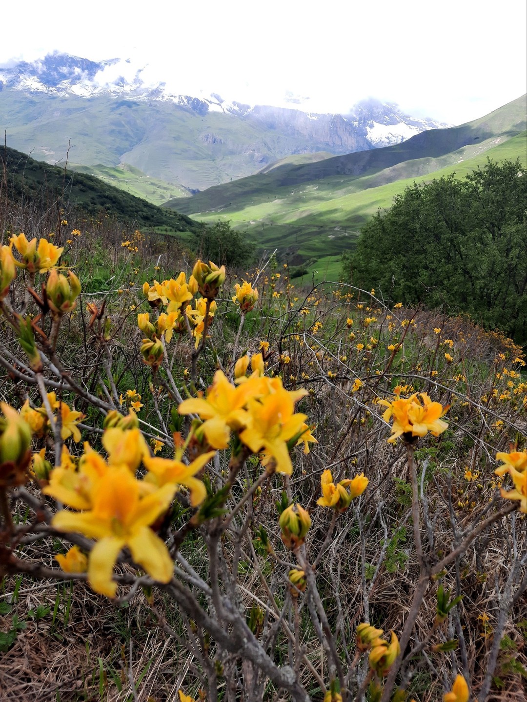 Организация, маршрут и экскурсия на высоте! 10 баллов. Гиду Станиславу огромная благодарность за наши позитивные и