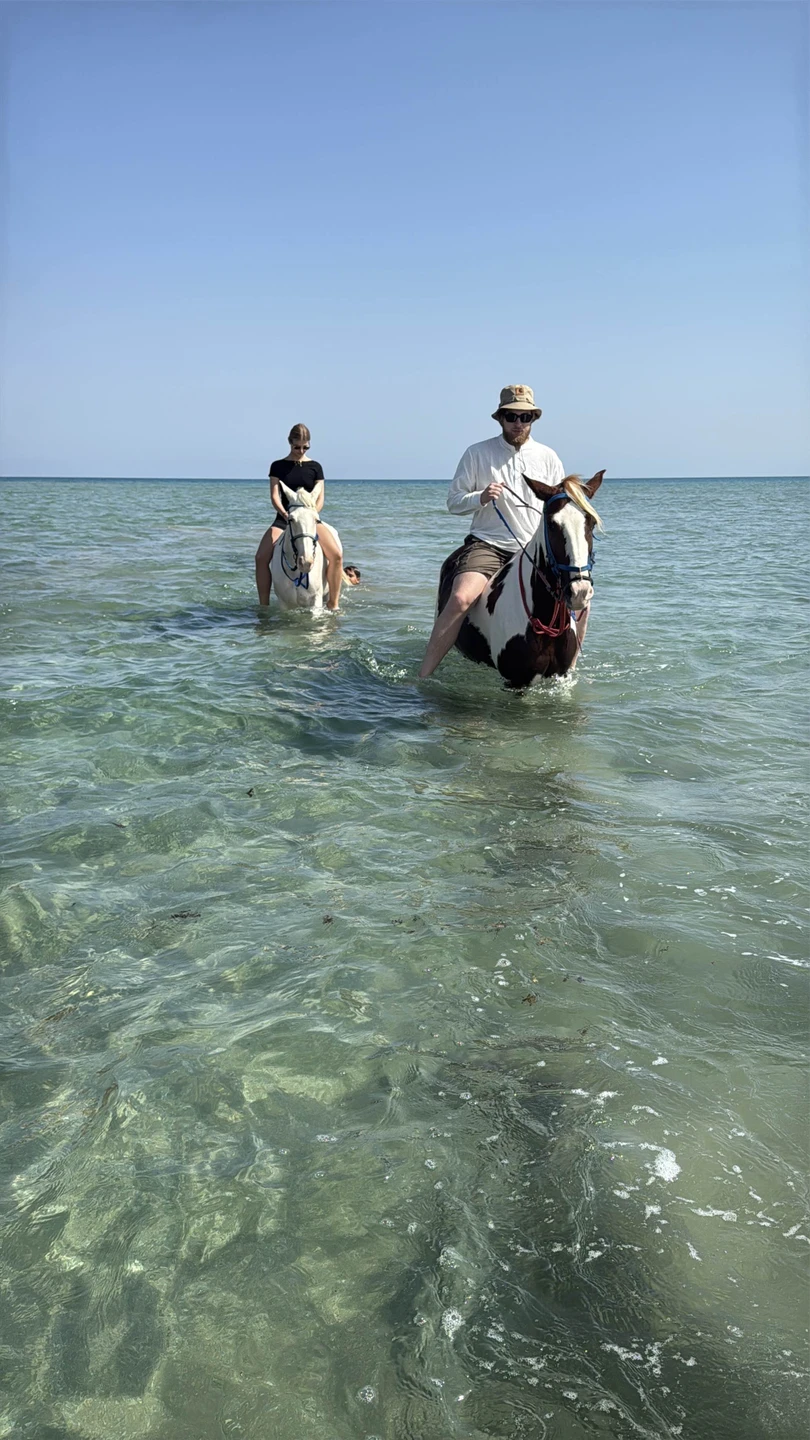Это была лучшая экскурсия, которую мы брали в Хургаде!