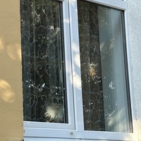 Фото путешественника — 8
