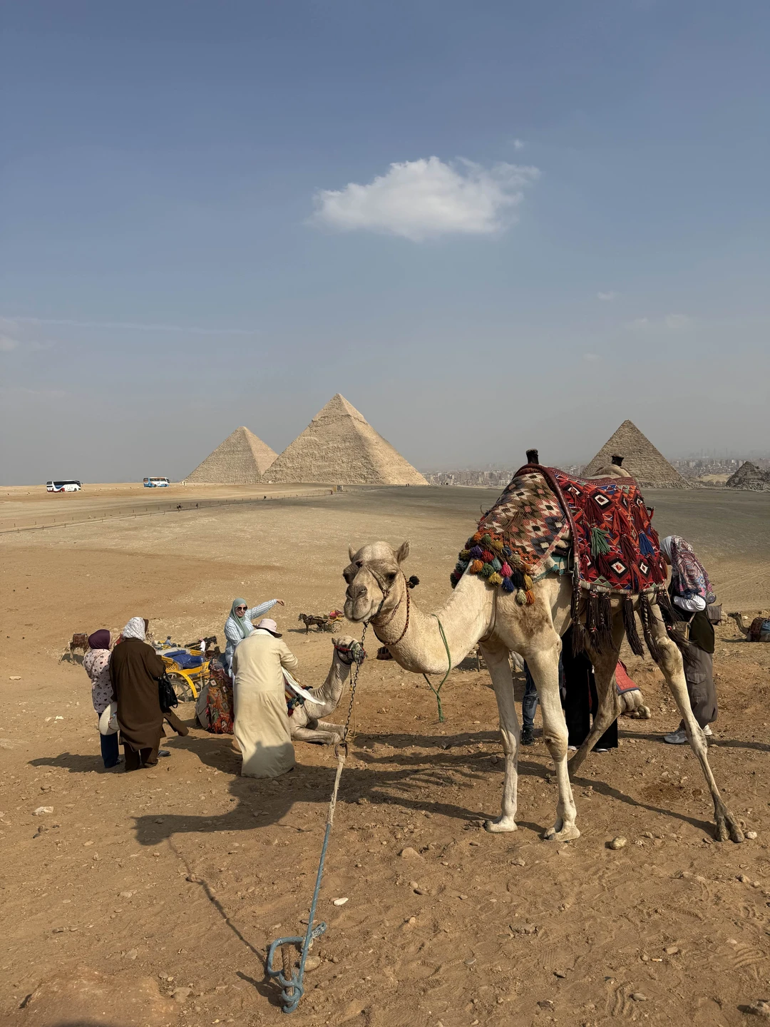 У нас был гид Гамаль. Все прошло максимально гладко и комфортно! Встреча в аэропорту без заминок
