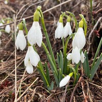 Фото отзыва 5: экскурсия ""