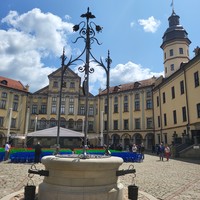 Фото отзыва 2: экскурсия "Трансфер: Несвиж и Мир — отражение веков"