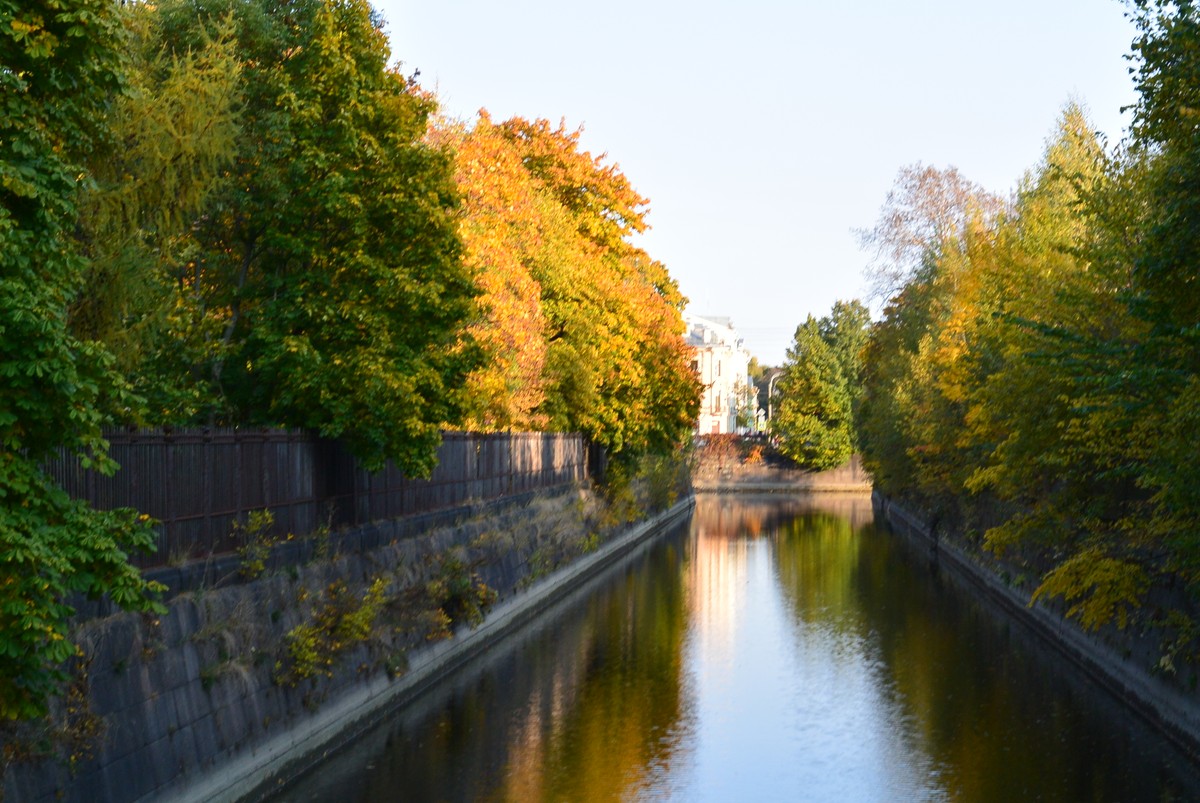 Герои города воинской славы (5/13)
