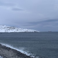 Фото отзыва 3: экскурсия "Териберка и морская прогулка за 1 день!"