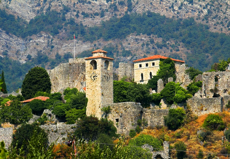 По Черногории с биологом в индивидуальном формате: флора, фауна и история курортов и нацпарков