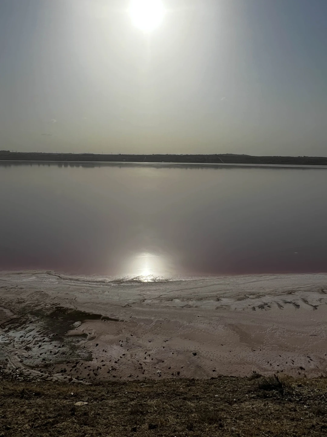 Пульс Баку и секреты местной кухни (Оксана)