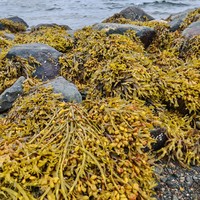 Фото отзыва 6: экскурсия "Из Мурманска в Кандалакшу — на Белое море!"