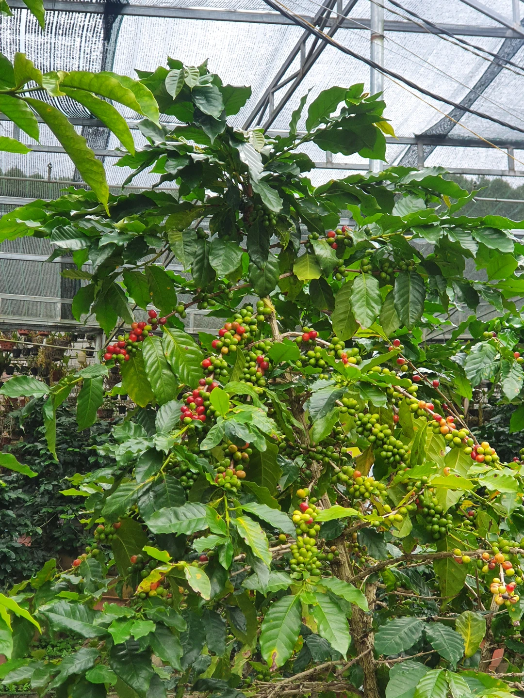 Отличная экскурсия, отработанная до мелочей. Проходила на комфортном новом автомобиле, оборудованием USB входами, удобными креслами. Все