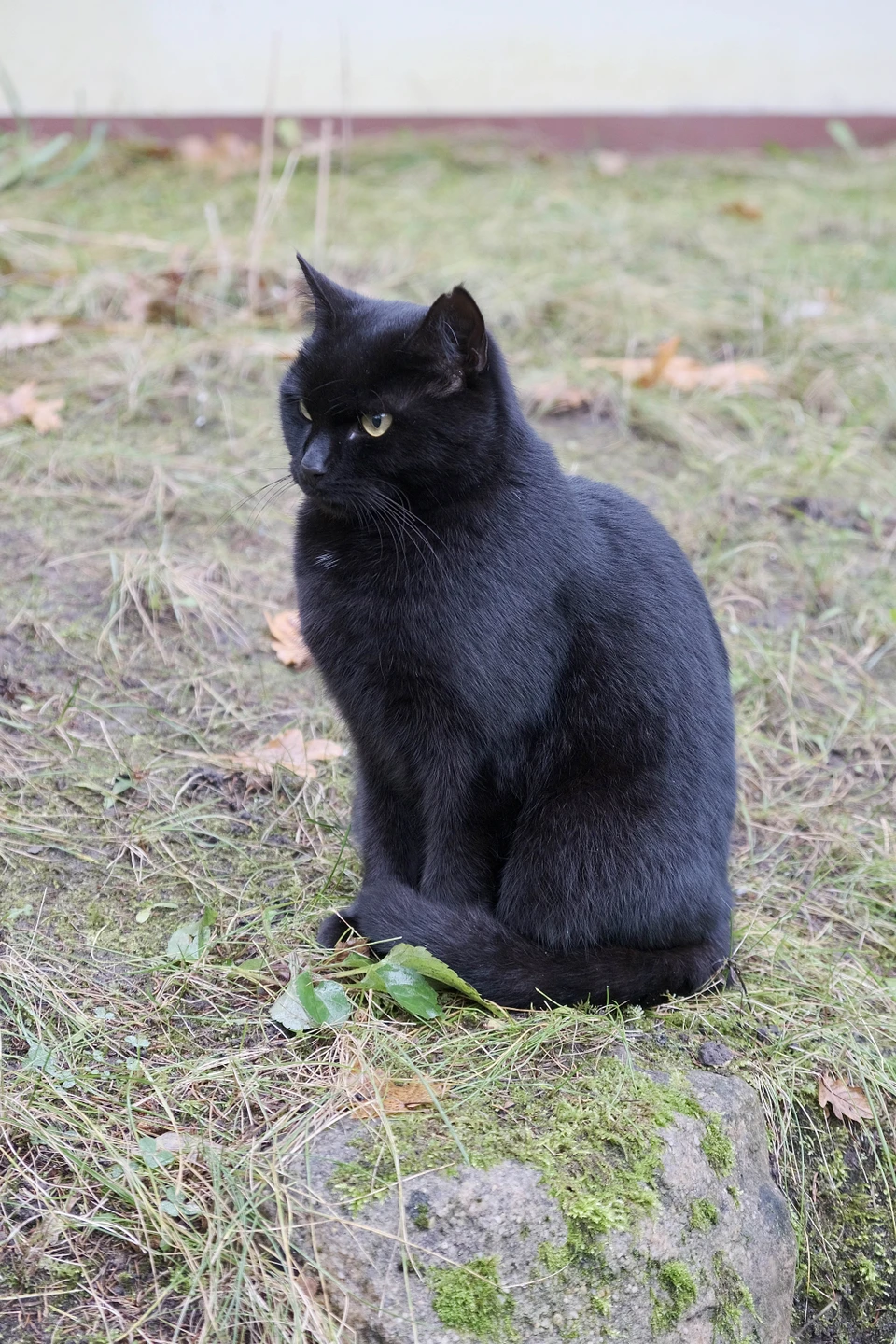 Всё прошло чудесно! В очередной раз огромное спасибо Анне! Экскурсия ориентирована на более серьезное изучение города