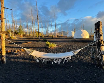 Толбачинские вулканы, Мёртвый лес