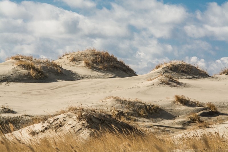 Фото отзыва 2: авторский тур "Семейный тур в прошлое: Балтийск, Калининград и Гвардейск"