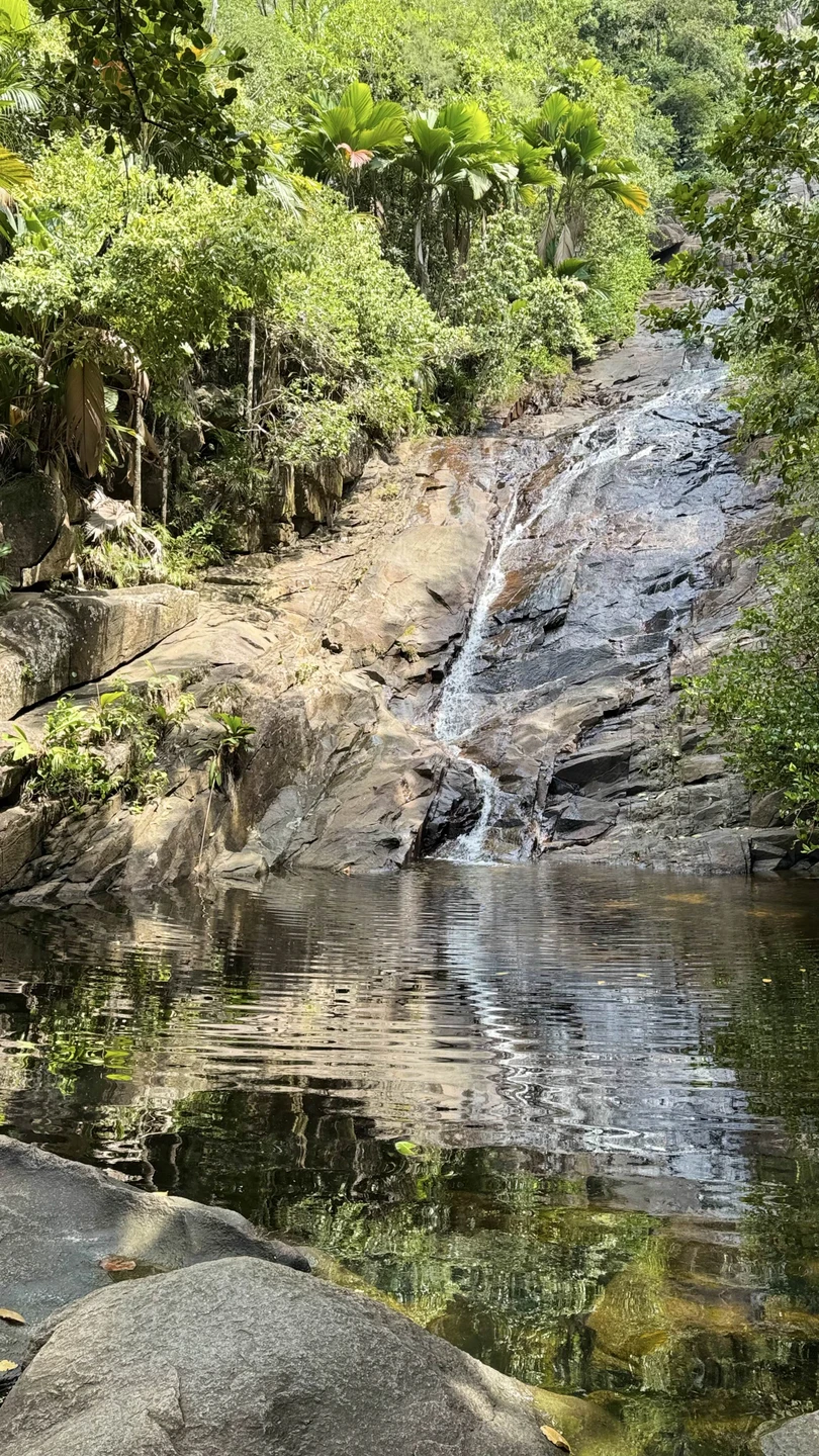 Сейшелы, которым есть чем удивить (Наталия)